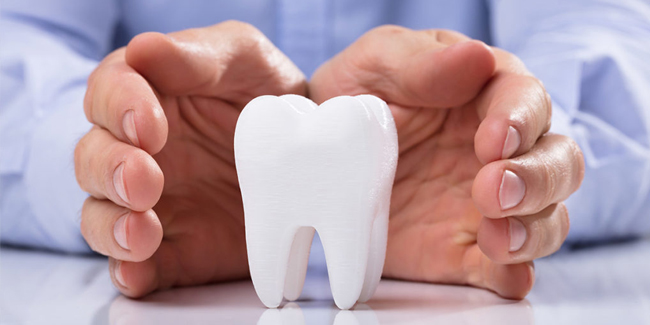 Hands protecting a white tooth model, representing dental insurance accepted by our dentist in Richardson, TX