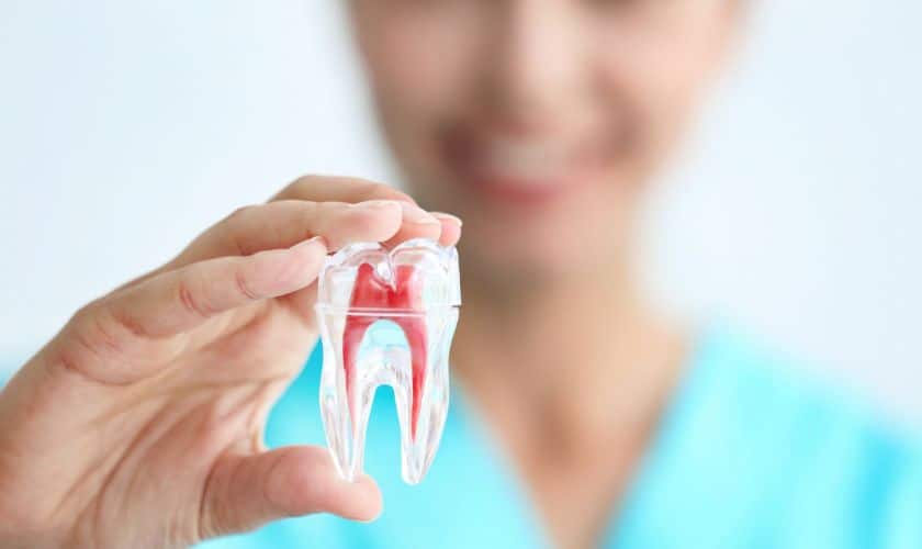 5 Reasons Endodontics Is The Key To Your Happiness