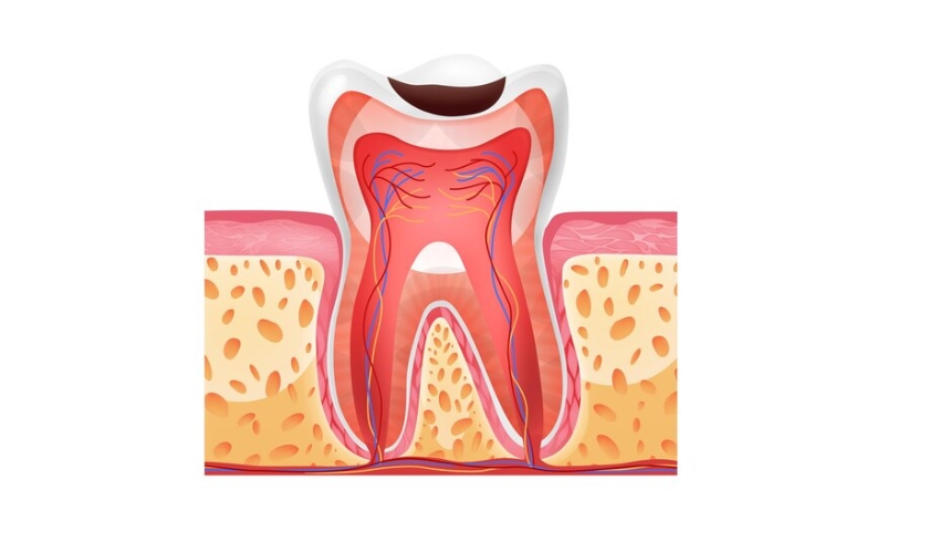 Teeth with Stem Cells Treatment in Richardson, TX, Gentle Touch Dentistry Richardson