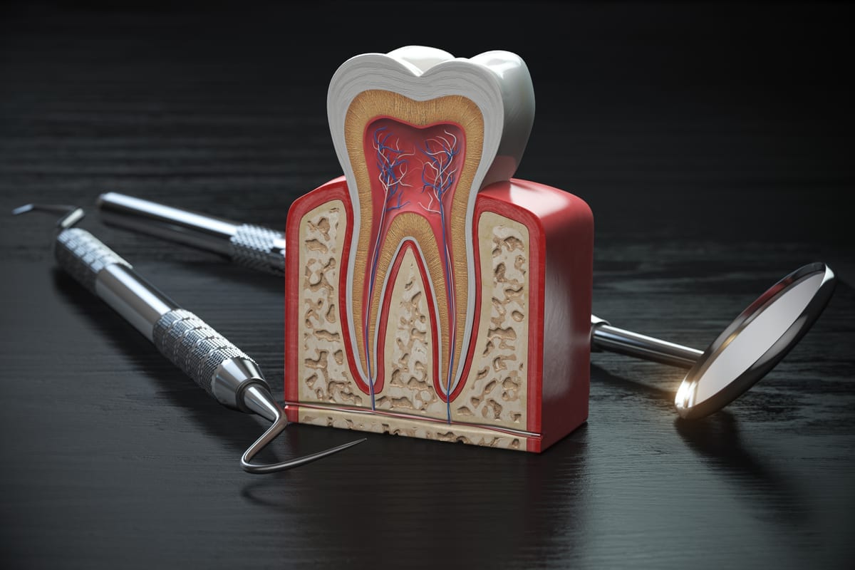 Root Canal Treatment in Richardson